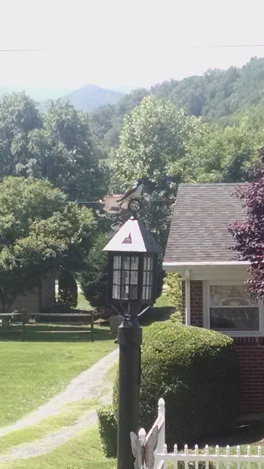 Subway | restaurant | 605 W 29th St, Buena Vista, VA 24416, USA | 5402611609 OR +1 540-261-1609