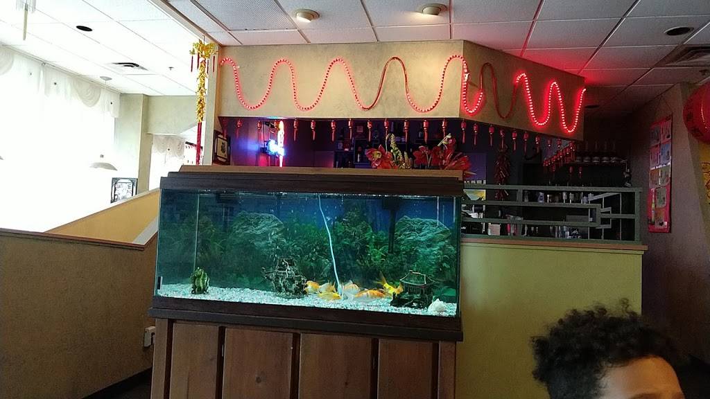 Magic Wok | restaurant | 7219 Wooster Pike, Cincinnati, OH 45227, USA | 5132716898 OR +1 513-271-6898