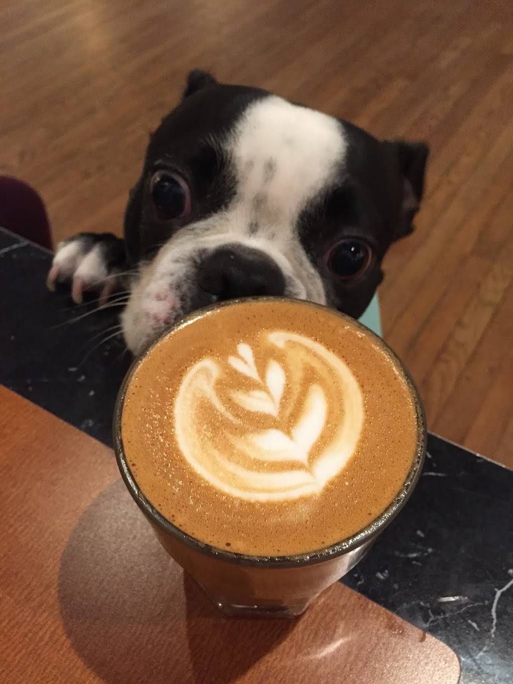 Margies Java Joint | cafe | 931 16th St, Greeley, CO 80631, USA | 9704515079 OR +1 970-451-5079