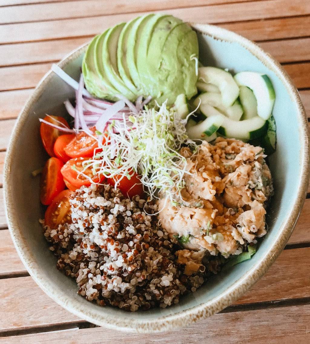 Holi Vegan Kitchen MiMo | restaurant | 6411 Biscayne Blvd, Miami, FL 33138, USA | 7864017659 OR +1 786-401-7659