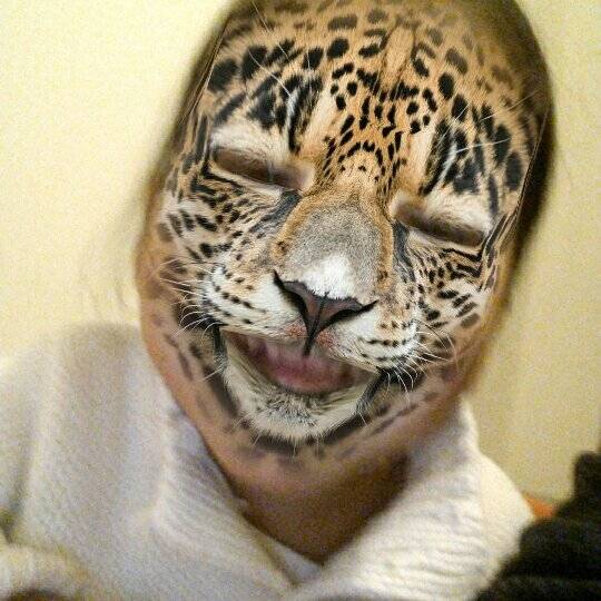 Protein Kitchen | restaurant | Calle Decima #1023-1B entre Ryerson y, Avenida 20 de Noviembre, Zona Centro, 22800 Ensenada, B.C., Mexico | 016461556097 OR +52 646 155 6097