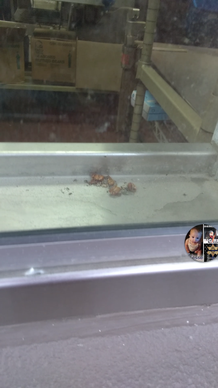 KFC | restaurant | 928 Buford Dr, Lawrenceville, GA 30043, USA | 7709621330 OR +1 770-962-1330