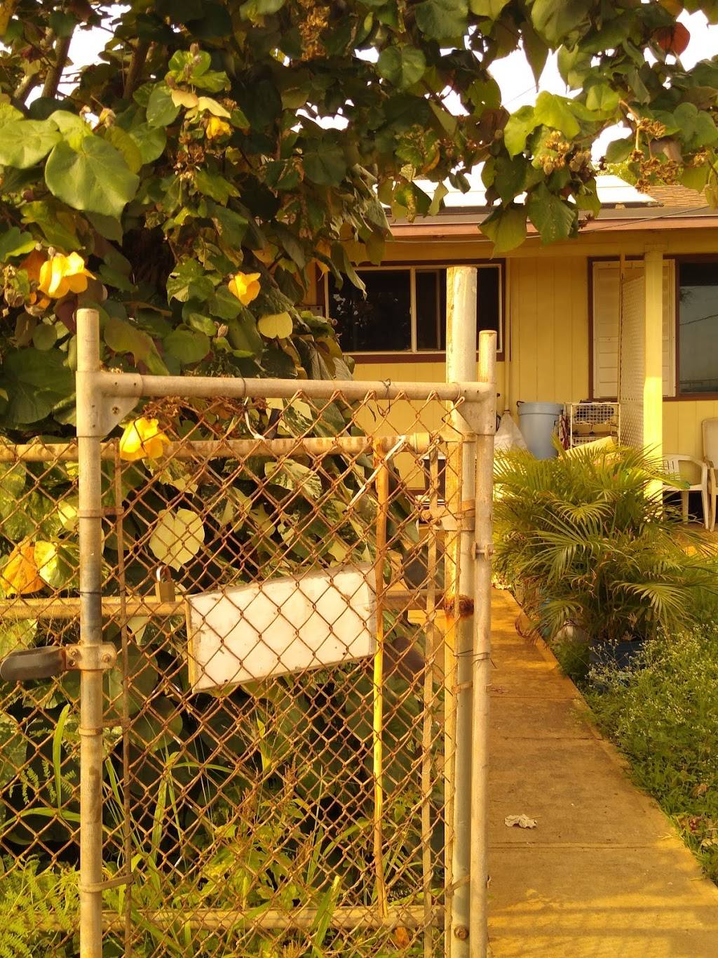 L & P Drive Inn | restaurant | 87-1650 Farrington Hwy, Waianae, HI 96792, USA | 8086686996 OR +1 808-668-6996