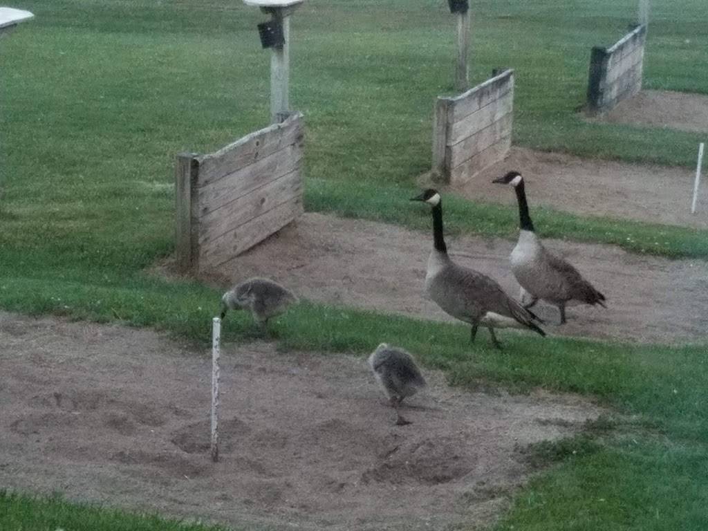 Grand Rapids/Sparta Moose Lodge #50 and Golf | restaurant | 11510 N Division Ave, Sparta, MI 49345, USA | 6168877785 OR +1 616-887-7785