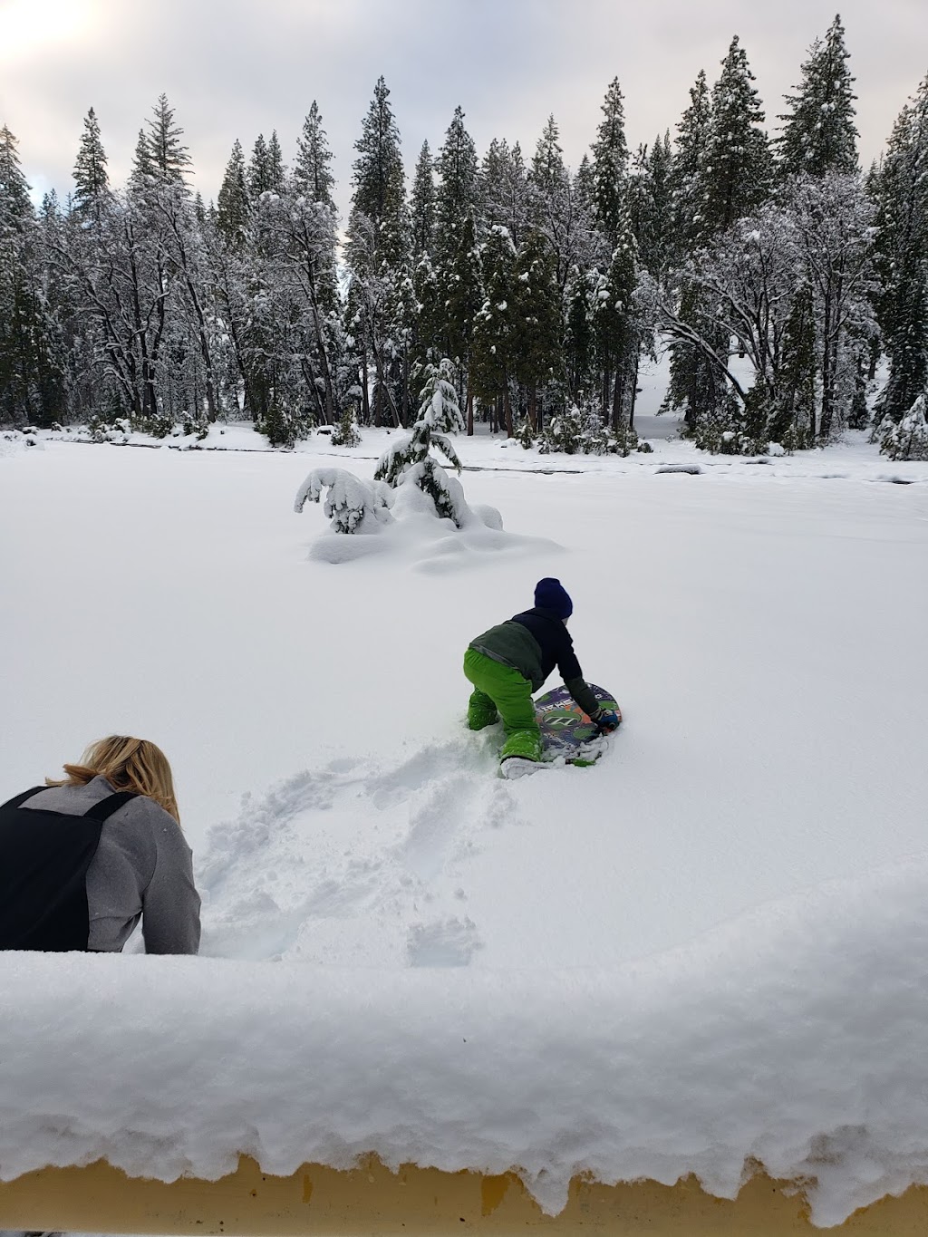 Bambi Inn | restaurant | 7436 Humboldt Rd, Forest Ranch, CA 95942, USA | 5308734125 OR +1 530-873-4125