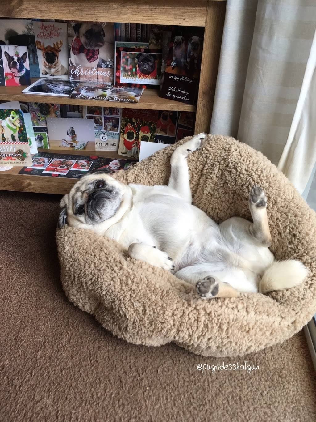 Daves Cosmic Subs | meal takeaway | 515 N Abbe Rd, Elyria, OH 44035, USA | 4403650469 OR +1 440-365-0469