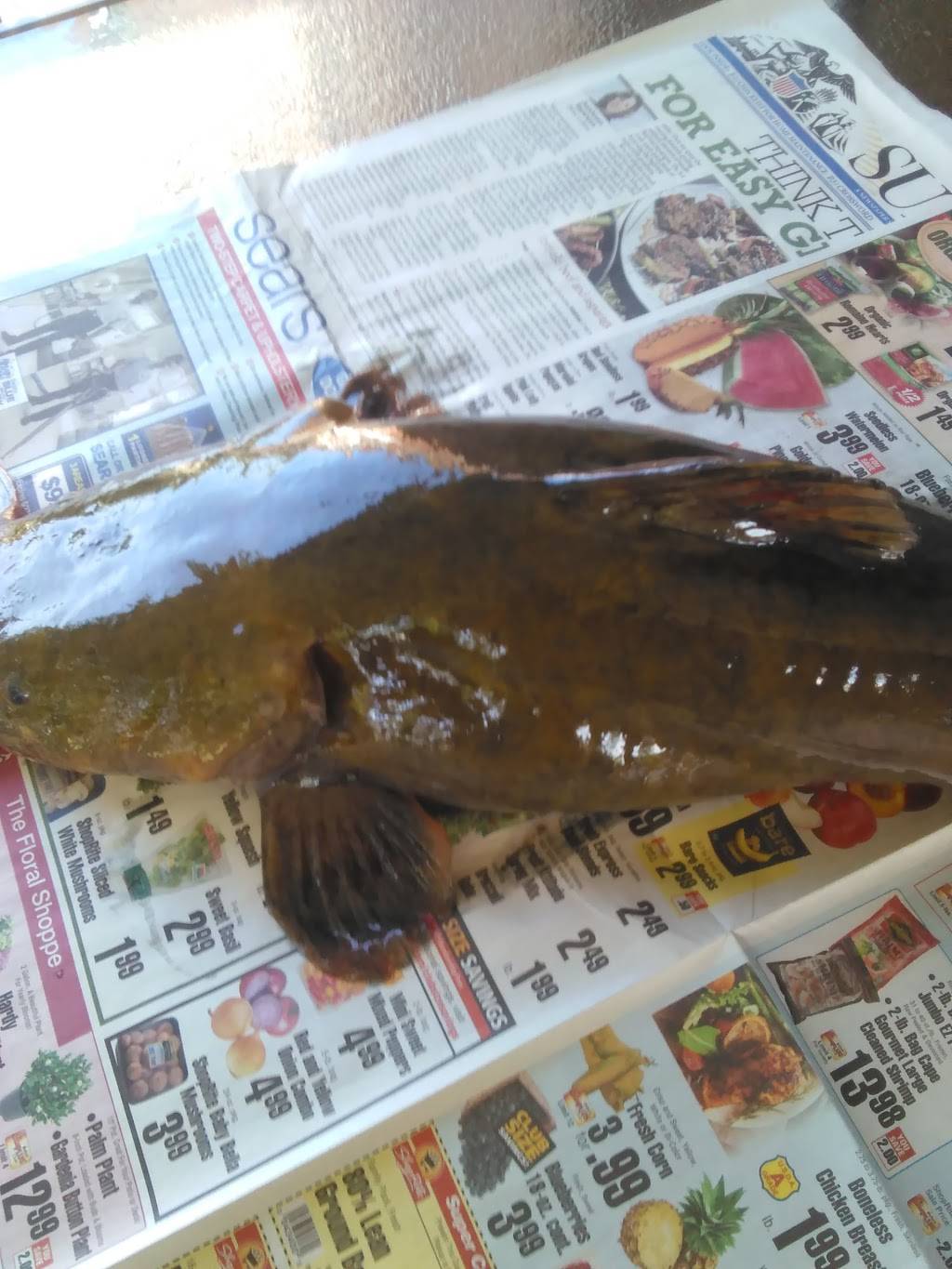 J J Grocery & Deli | restaurant | 1015 Leeds Ave, Baltimore, MD 21229, USA | 4102429211 OR +1 410-242-9211