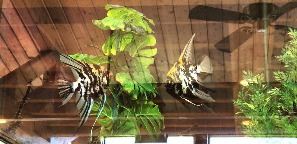 Rockys of Northville | restaurant | 41122 W Seven Mile Rd, Northville, MI 48167, USA | 2483494434 OR +1 248-349-4434