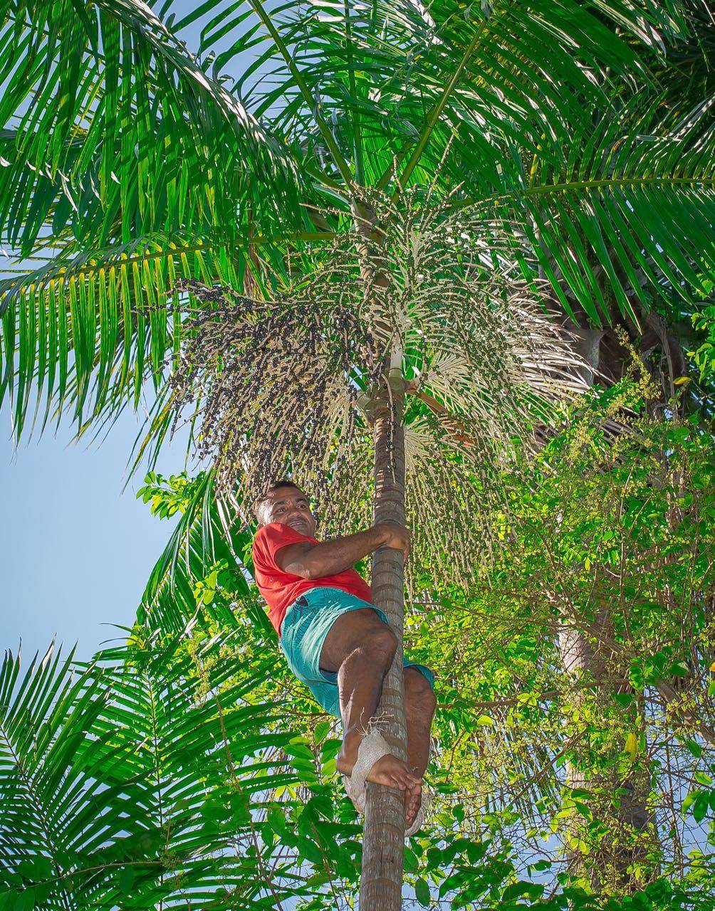 Smoothie Express | restaurant | 3906, 2409 Richmond Ave, Staten Island, NY 10314, USA | 3479343916 OR +1 347-934-3916