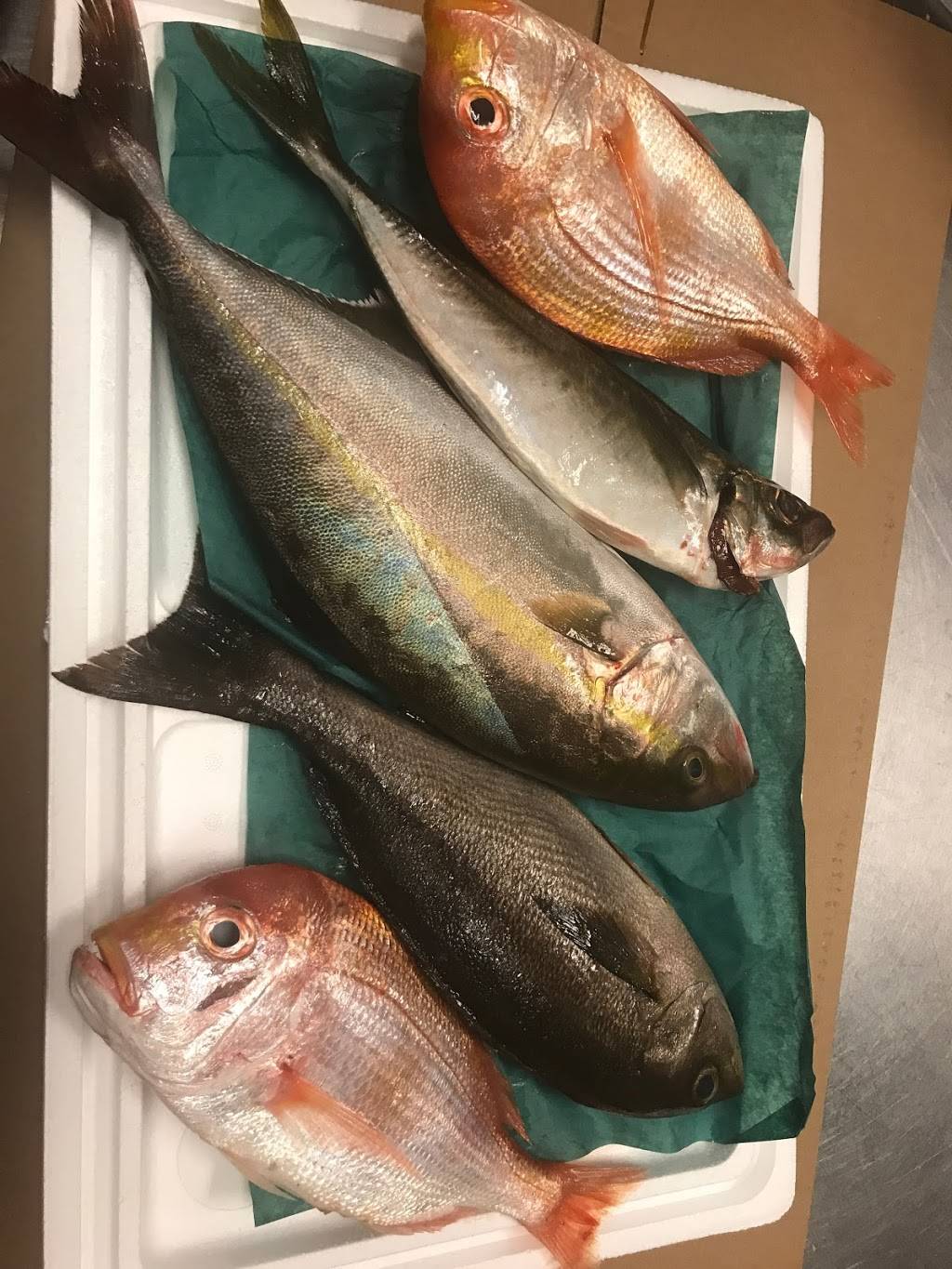 Eastern Dragon | restaurant | 238-7 S West End Blvd, Quakertown, PA 18951, USA | 2155388181 OR +1 215-538-8181