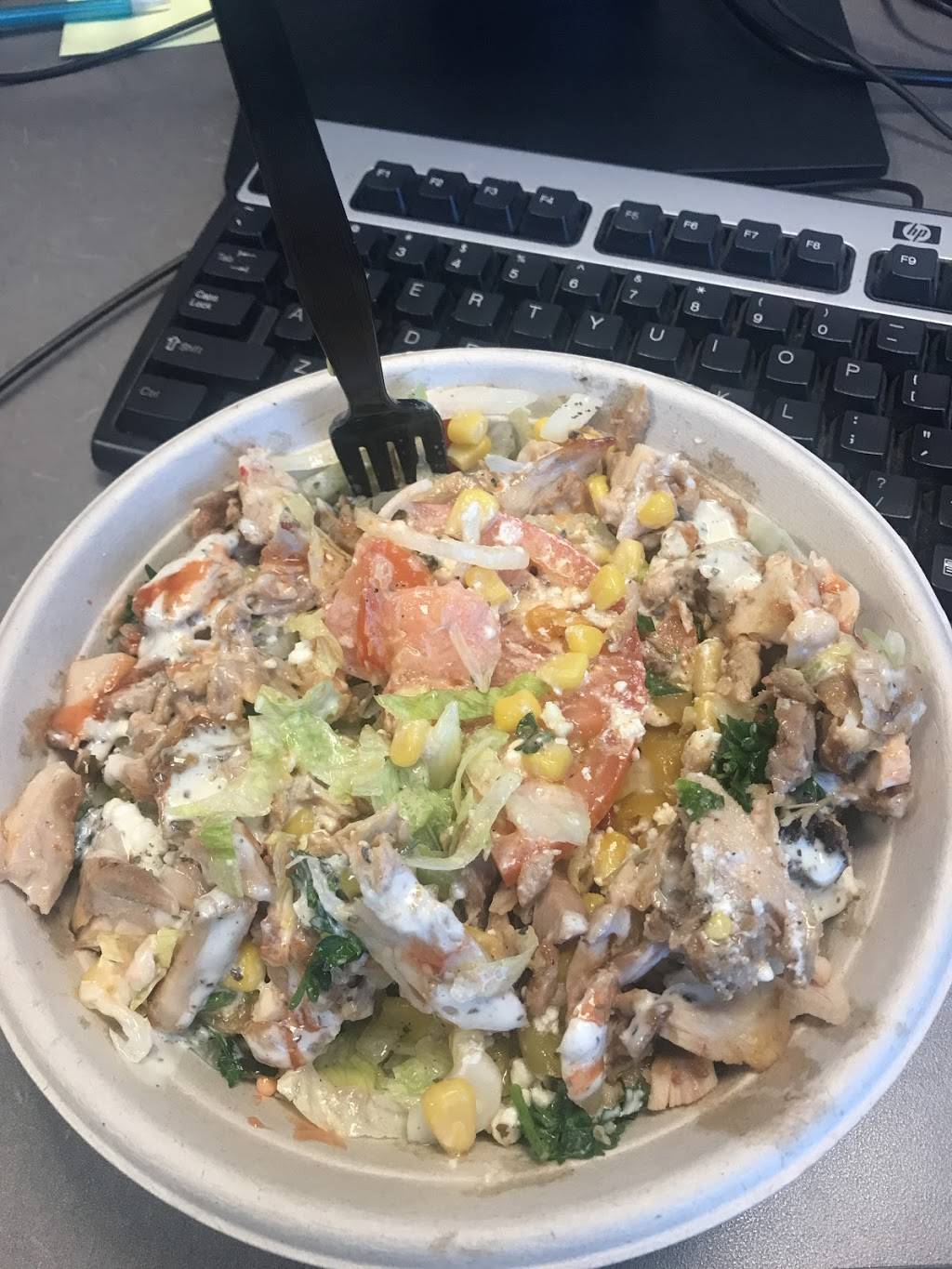 Pita Land | restaurant | 4901 Steeles Ave W, North York, ON M9L 2W1, Canada | 4167448860 OR +1 416-744-8860