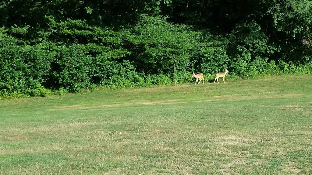 Olde Dutch Mill Golf Course & Sports Facility | restaurant | 2745 Grandview Rd, Lake Milton, OH 44429, USA | 3306544100 OR +1 330-654-4100