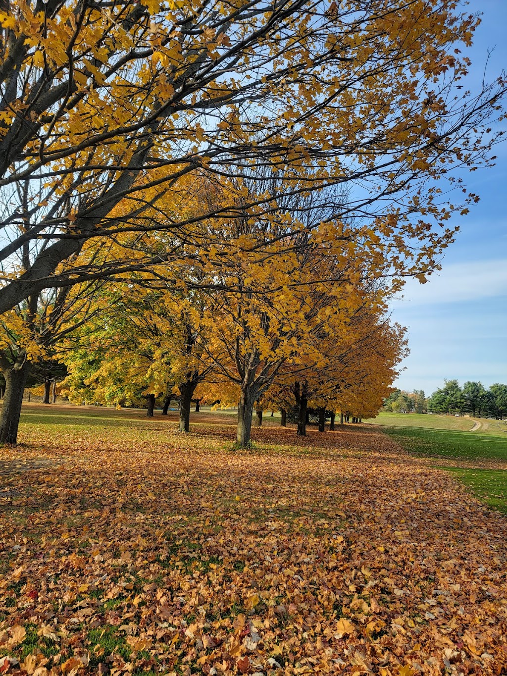 Willow Ridge Golf Club | restaurant | 3311 N River Rd, Fort Gratiot Twp, MI 48059, USA | 8109827010 OR +1 810-982-7010