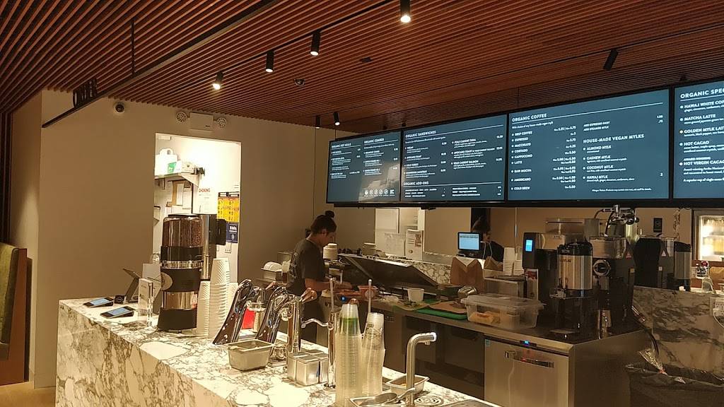 Dr Smood | restaurant | 210 Murray Street, New York, NY 10282, USA | 6469711644 OR +1 646-971-1644