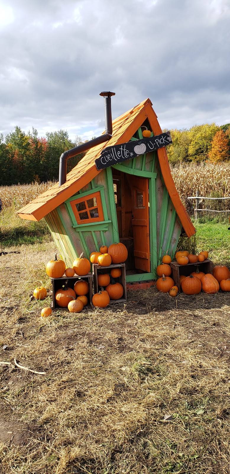 Verger Labonté | restaurant | 2291 Boulevard Perrot, Notre-Dame-de-lÎle-Perrot, QC J7V 8P4, Canada | 5144535379 OR +1 514-453-5379