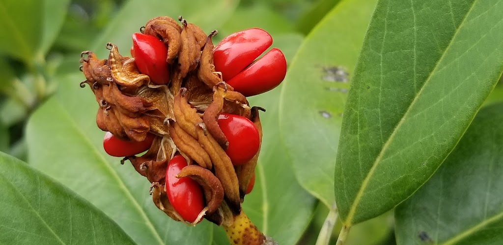 Starbucks | cafe | 2200 Charlotte Ave, Nashville, TN 37203, USA | 6158541262 OR +1 615-854-1262