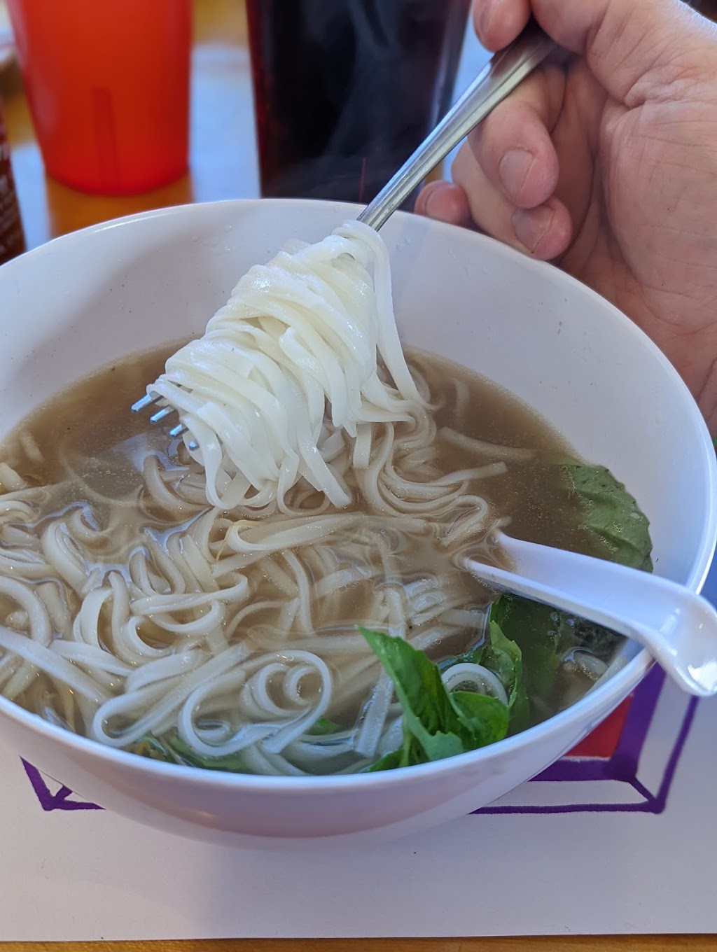 Buena Pho | restaurant | 601 US Hwy 24 N, Buena Vista, CO 81211, USA | 7193954882 OR +1 719-395-4882