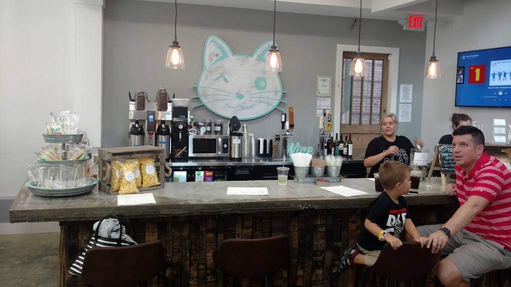 Purrfect Day Cat Cafe | restaurant | 1741 Bardstown Rd, Louisville, KY 40205, USA | 5029165051 OR +1 502-916-5051