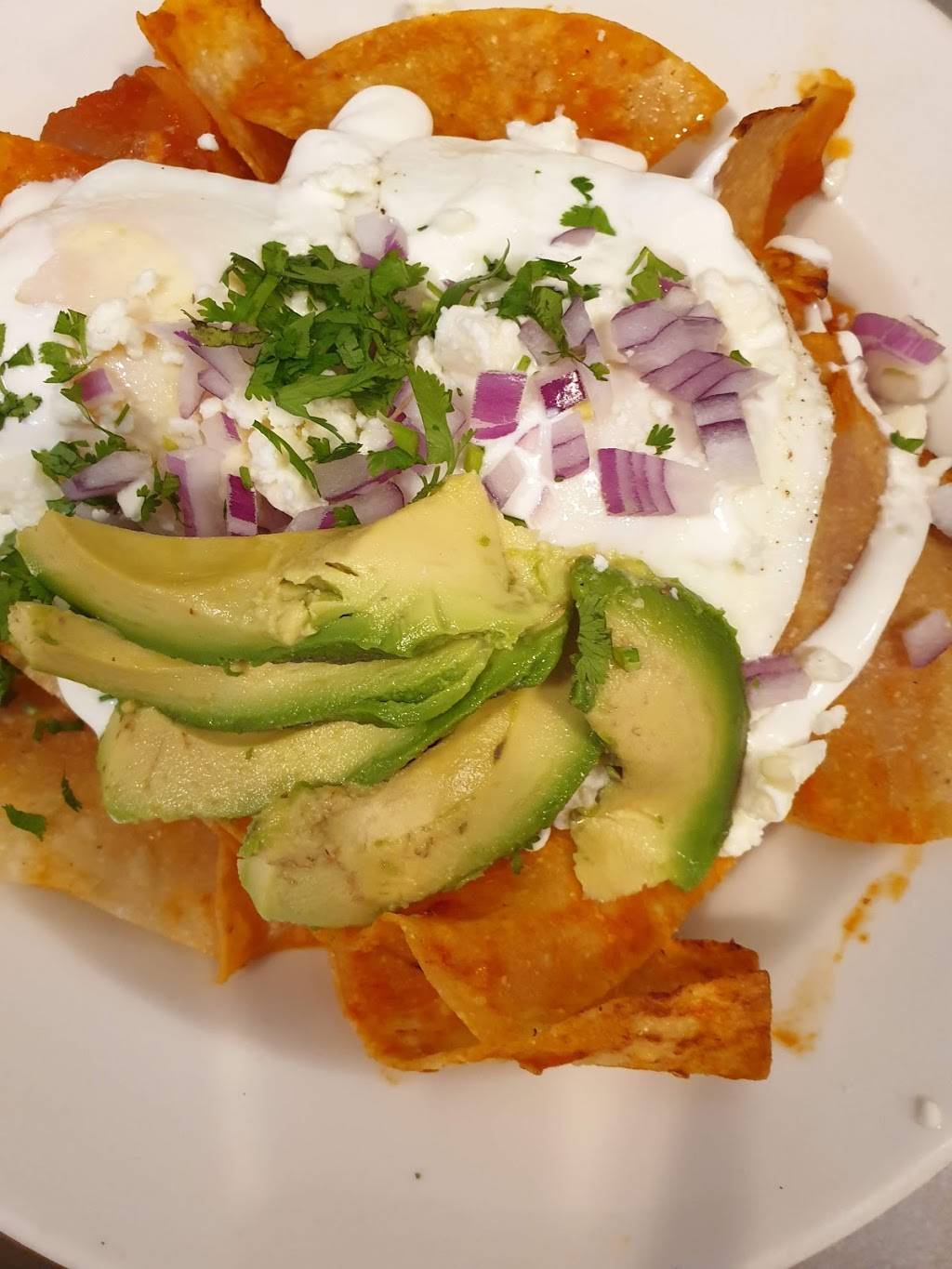 Monuts | cafe | 1002 9th St, Durham, NC 27705, USA | 9192862642 OR +1 919-286-2642