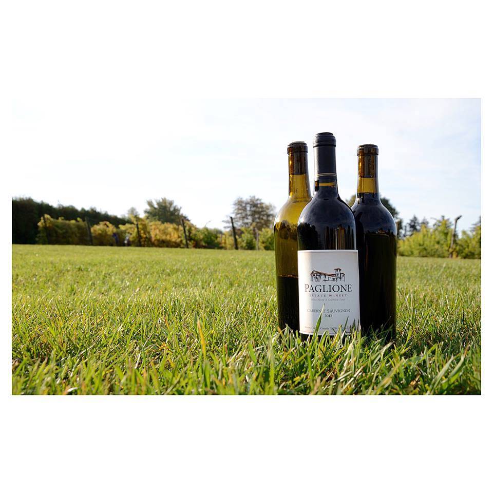 Paglione Estate Winery | restaurant | 724 County Road 50 E, Harrow, ON N0R 1G0, Canada | 5197380597 OR +1 519-738-0597
