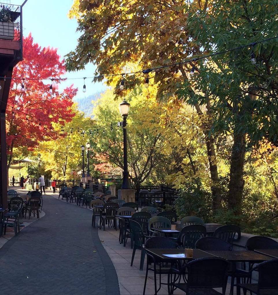 Louies of Ashland | meal delivery | 41 N Main St, Ashland, OR 97520, USA | 5414829701 OR +1 541-482-9701