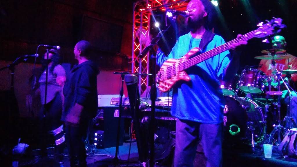 The Wild Hare & Singing Armadillo Frog Sanctuary | restaurant | 2610 N Halsted St, Chicago, IL 60614, USA | 7737703511 OR +1 773-770-3511