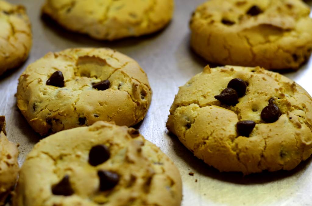 Black Dog Coffee & Catering | restaurant | 519 Allegheny St, Hollidaysburg, PA 16648, USA | 8146955700 OR +1 814-695-5700