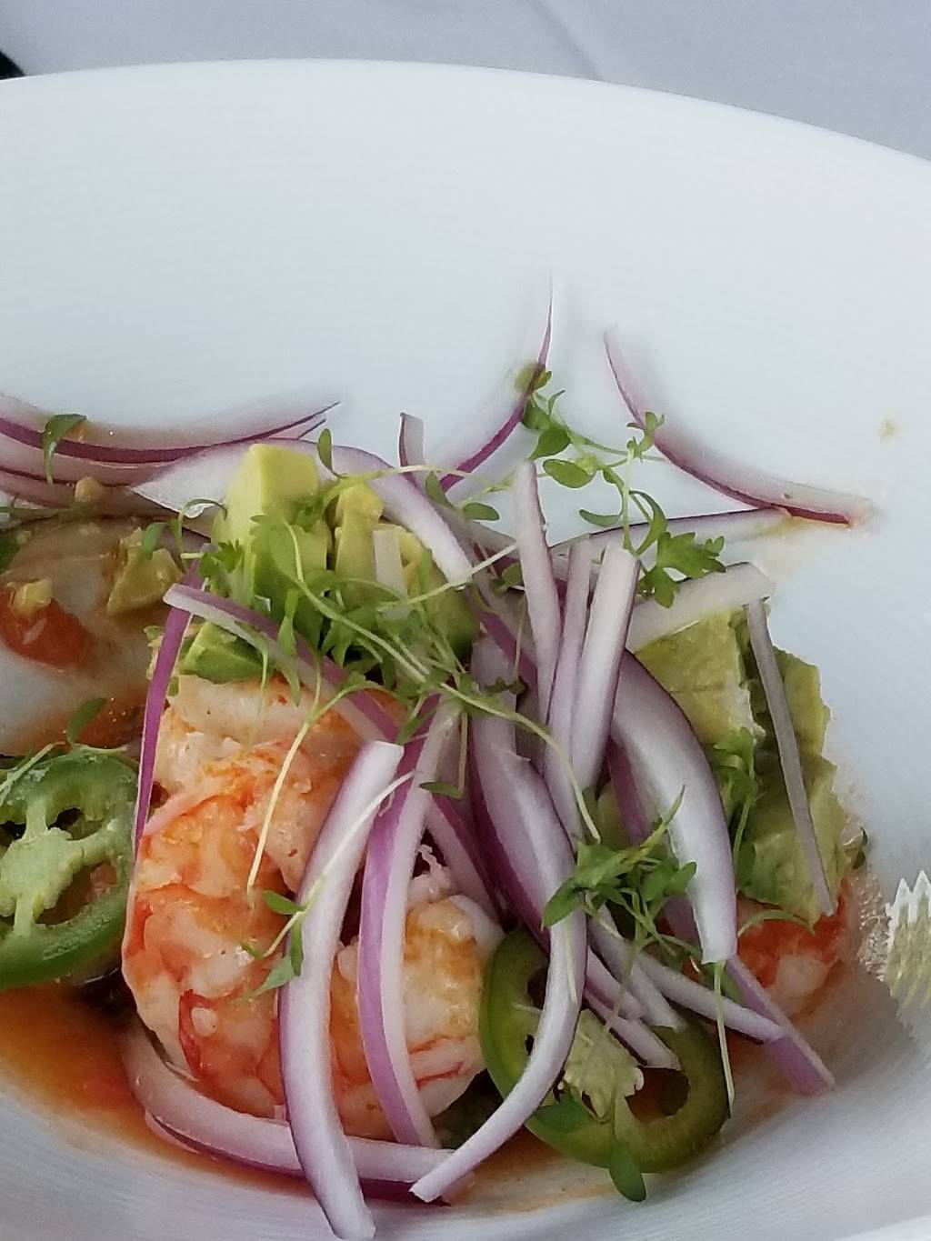 Seviche A Latin Restaurant | restaurant | 1156, 1538 Bardstown Rd, Louisville, KY 40205, USA | 5024738560 OR +1 502-473-8560