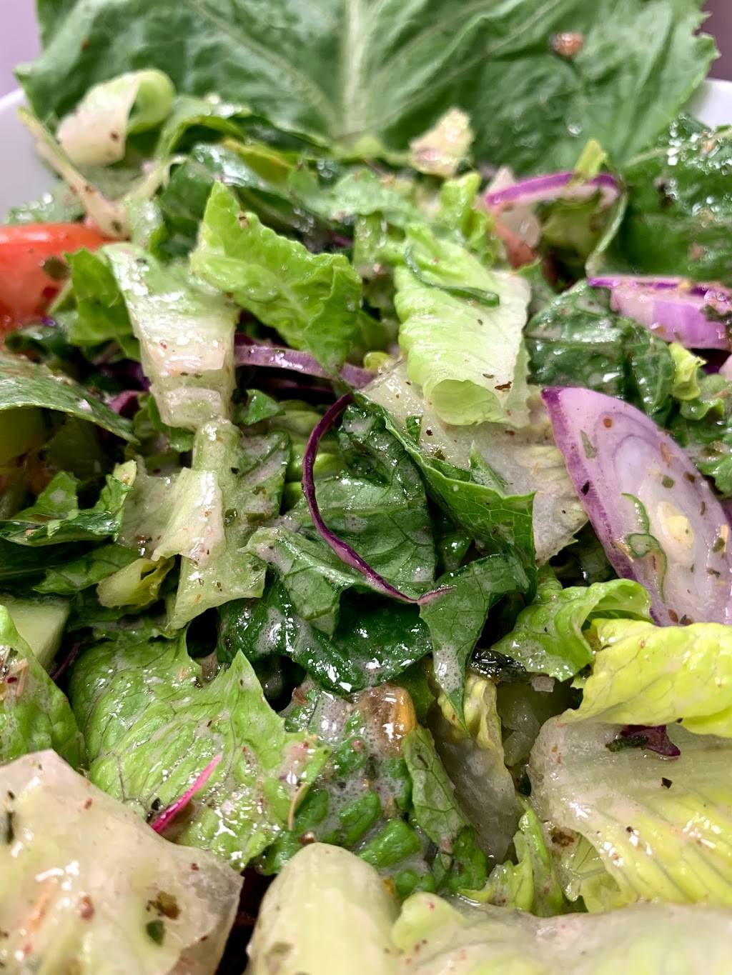 Oasis kitchen مطعم الواحة | restaurant | 13210 Michigan Ave, Dearborn, MI 48126, USA | 3132890222 OR +1 313-289-0222