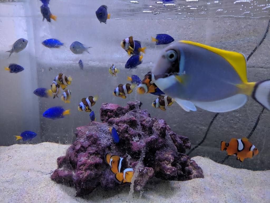 Gulf Gate Business Directory | shopping mall | 6612 Gateway Ave, Sarasota, FL 34231, USA | 9417248604 OR +1 941-724-8604