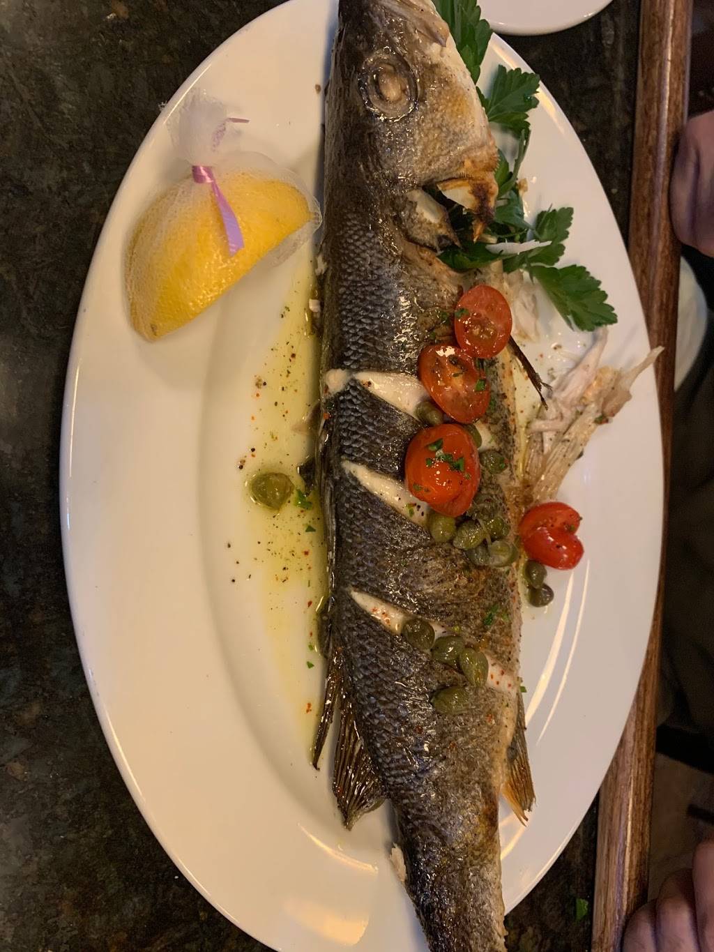 Cafe Istanbul | restaurant | 2014 W Division St, Chicago, IL 60622, USA | 7736619487 OR +1 773-661-9487