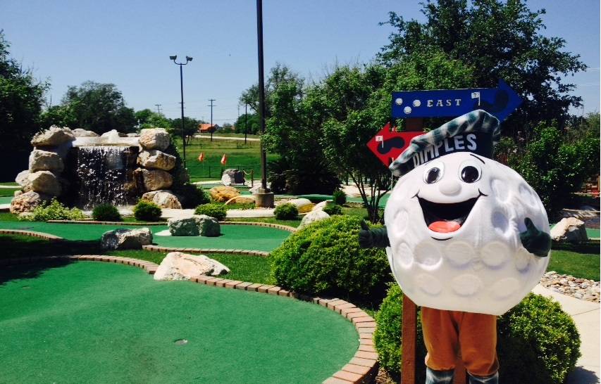 Green Acres Golf and Games, Inc. | meal takeaway | 9782 US Hwy 87 E, San Antonio, TX 78263, USA | 2106494653 OR +1 210-649-4653