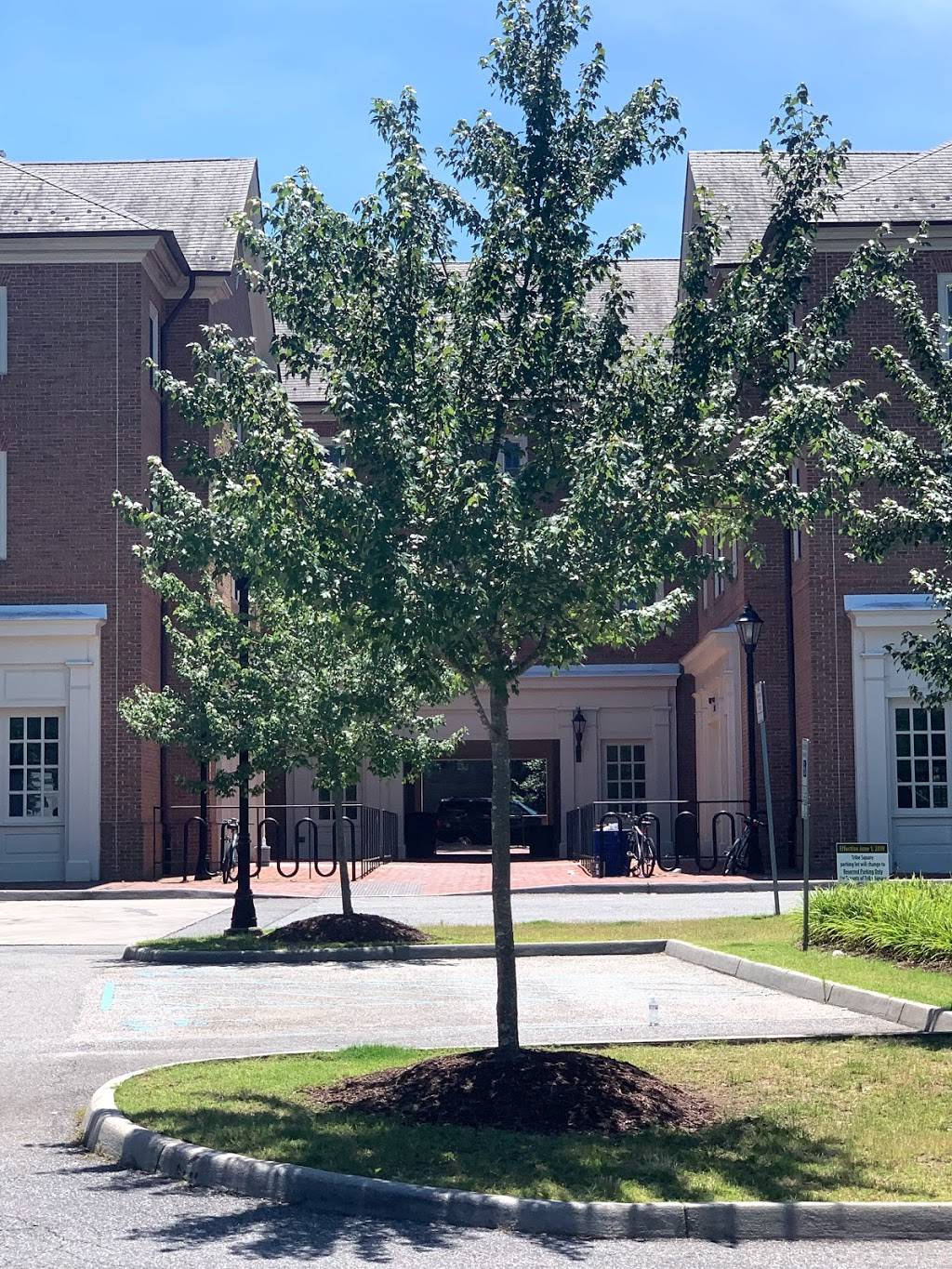 Chick-fil-A | restaurant | Tribe Square, 249 Richmond Rd, Williamsburg, VA 23185, USA | 7572213452 OR +1 757-221-3452