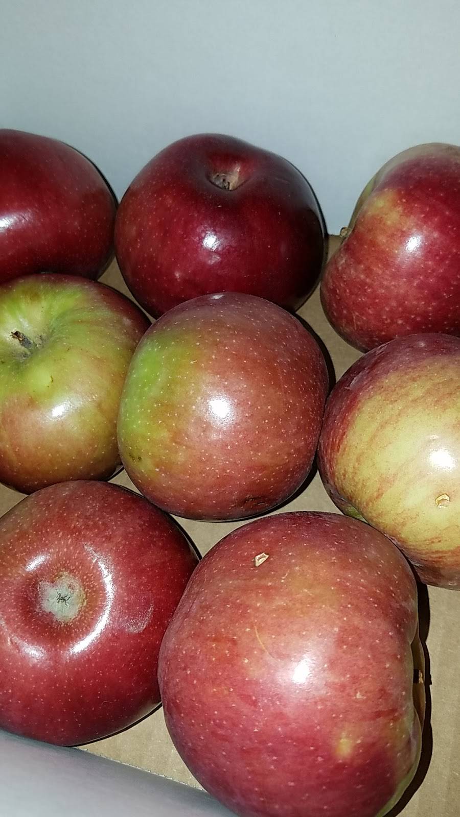 Dawsons Orchards, Inc. | restaurant | 122 Petersburg Rd, Enon Valley, PA 16120, USA | 7246677719 OR +1 724-667-7719