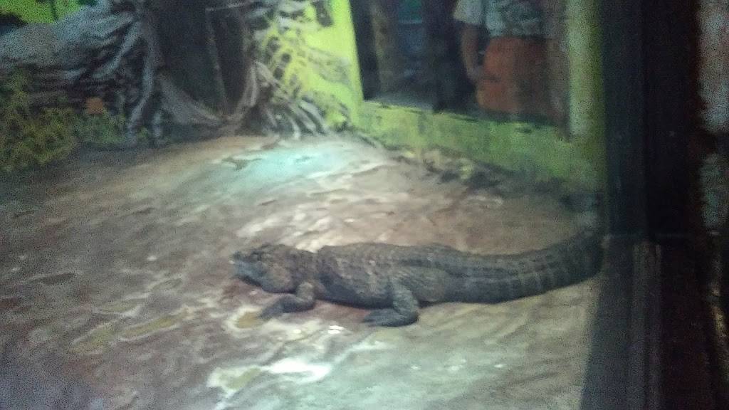 Stone Harbor Golf Club | restaurant | 905 U.S. 9, Cape May Court House, NJ 08210, USA | 6094659270 OR +1 609-465-9270