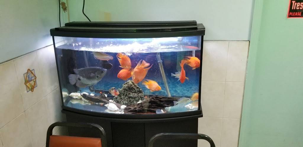 New Choi House | restaurant | 426 Bay St, Staten Island, NY 10304, USA | 7184478282 OR +1 718-447-8282