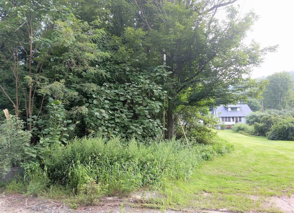 Long Eddy Hotel & Saloon | restaurant | 7 Depot St, Long Eddy, NY 12760, USA | 8458874554 OR +1 845-887-4554