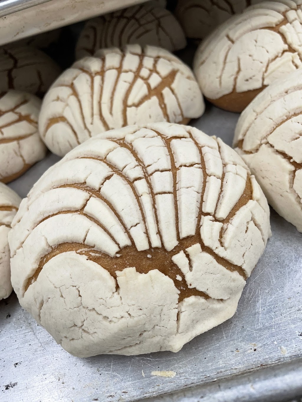 Taqueria Y Panadería La Calentana | restaurant | 5045 Hwy 17, De Leon Springs, FL 32130, USA | 3862772041 OR +1 386-277-2041