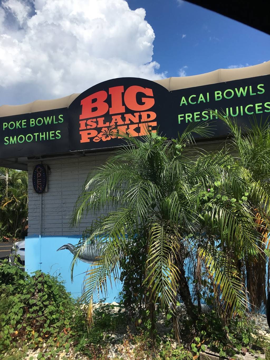 Big Island Poke | restaurant | 3601 W Gandy Blvd, Tampa, FL 33611, USA | 8139997815 OR +1 813-999-7815