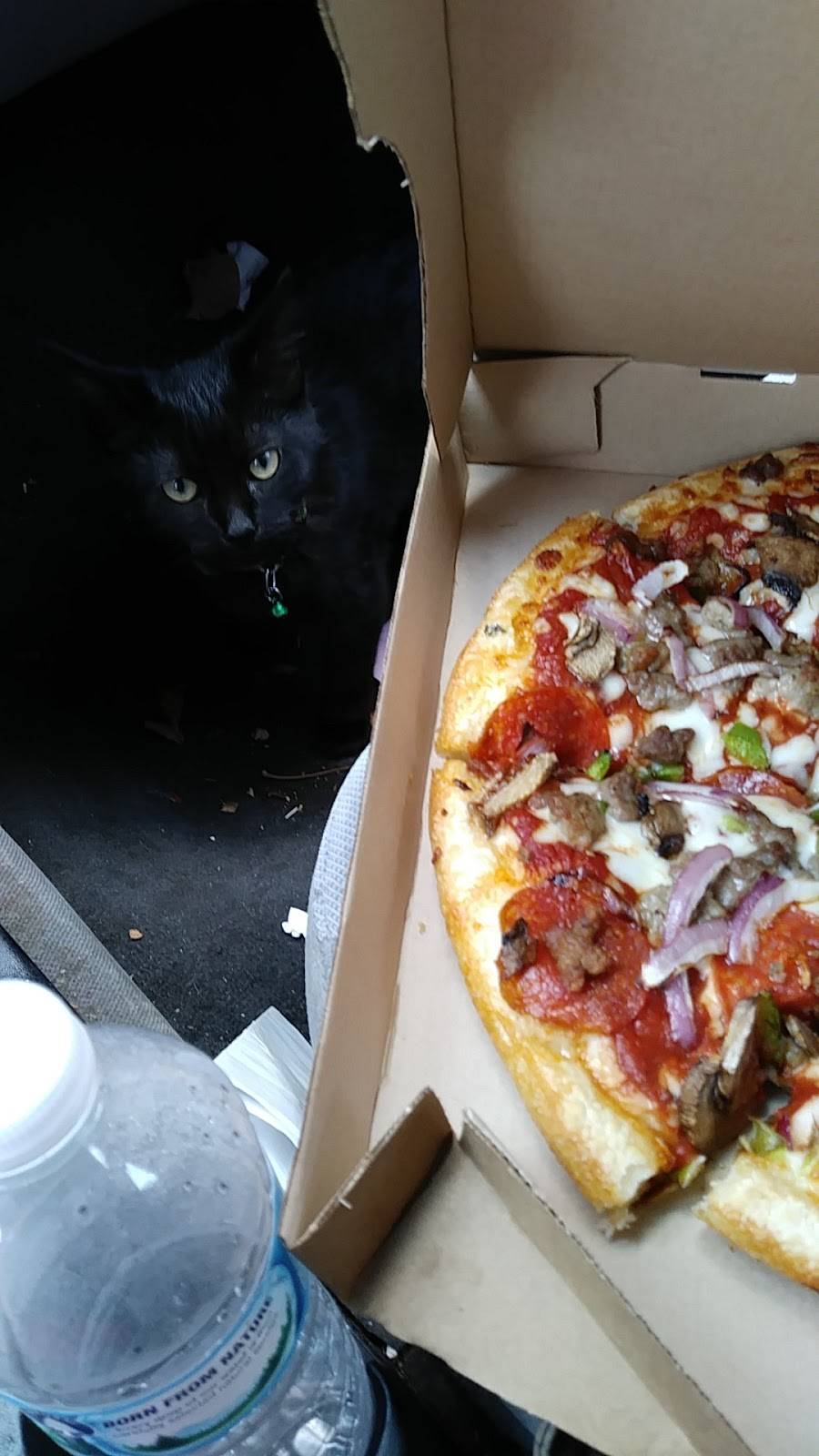 Pizza Hut | restaurant | 4537 Shadeland Ave, Indianapolis, IN 46226, USA | 3175477676 OR +1 317-547-7676