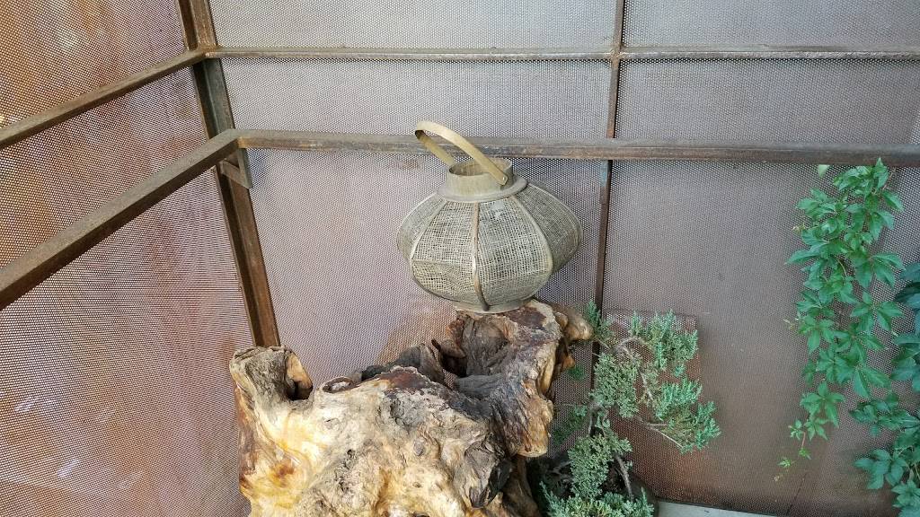 Otoko | restaurant | 1603 S Congress Ave, Austin, TX 78704, USA | 5129206405 OR +1 512-920-6405