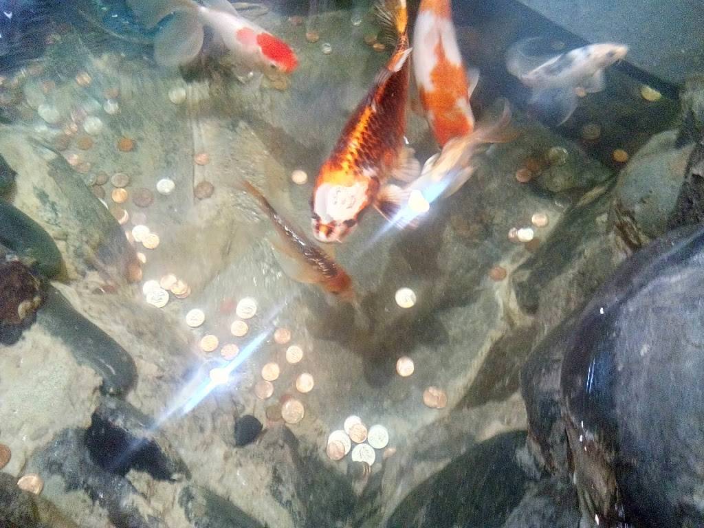 Kwando Buffet | restaurant | 740 Mangrove Ave, Chico, CA 95926, USA | 5303436788 OR +1 530-343-6788