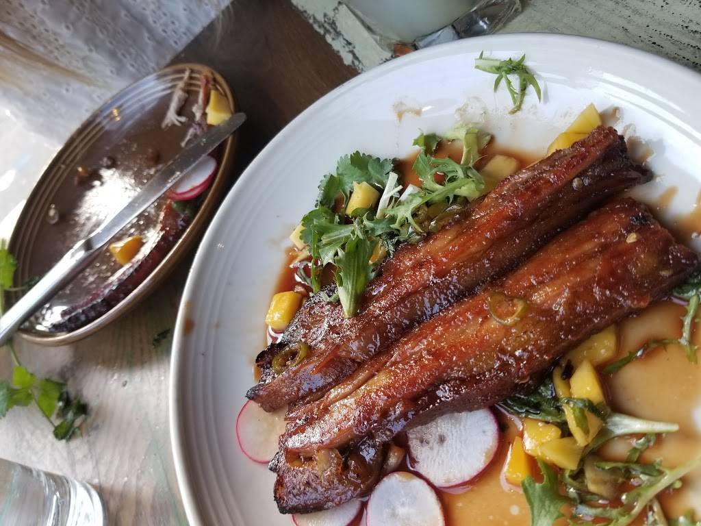 The Painted Burro | restaurant | 219 Elm St, Somerville, MA 02144, USA | 6177760005 OR +1 617-776-0005