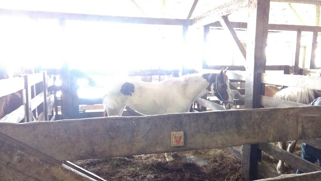 Sugarcreek Stockyard | restaurant | 102 Buckeye St, Sugarcreek, OH 44681, USA | 3308311720 OR +1 330-831-1720