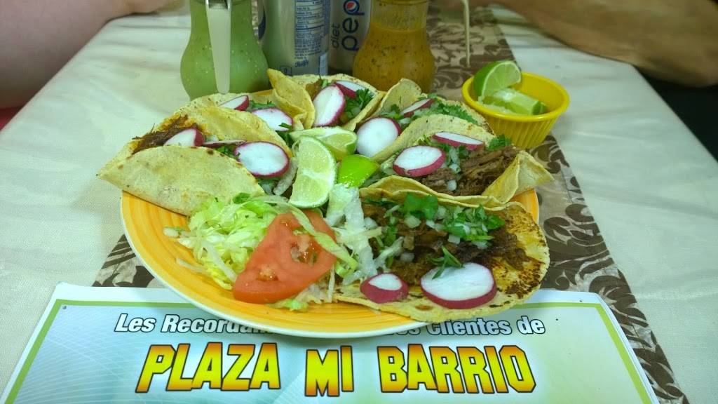 Mi Barrio Plaza | restaurant | 4865 Michigan Ave, Detroit, MI 48210, USA | 3138265149 OR +1 313-826-5149