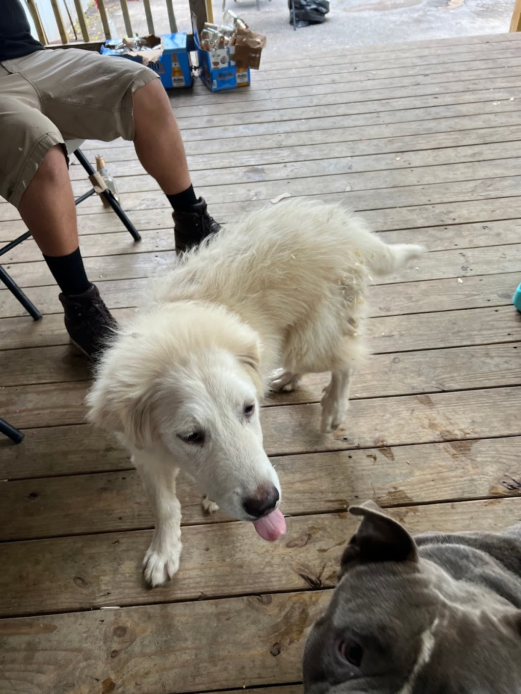 Birrieria NELSON | restaurant | 8WFJ+975, Cleveland, TX 77327, USA | 4093638876 OR +1 409-363-8876