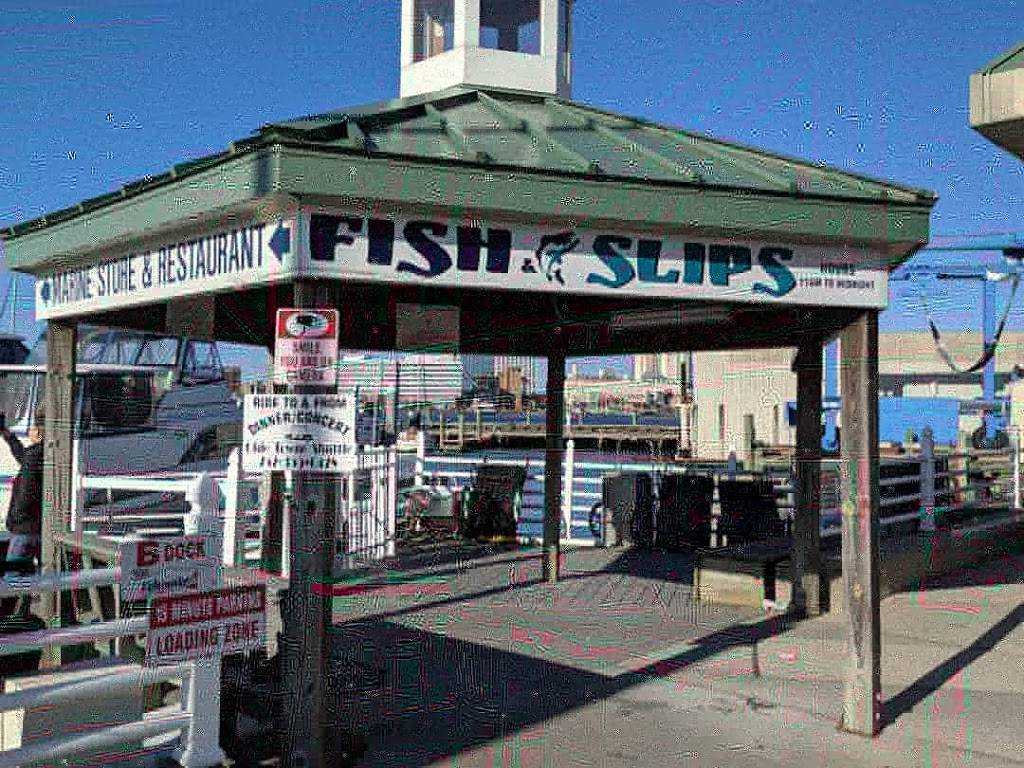 Fish & Slips Marina Raw Bar & Grill | restaurant | 10 Crawford Pkwy, Portsmouth, VA 23704, USA | 7579986631 OR +1 757-998-6631