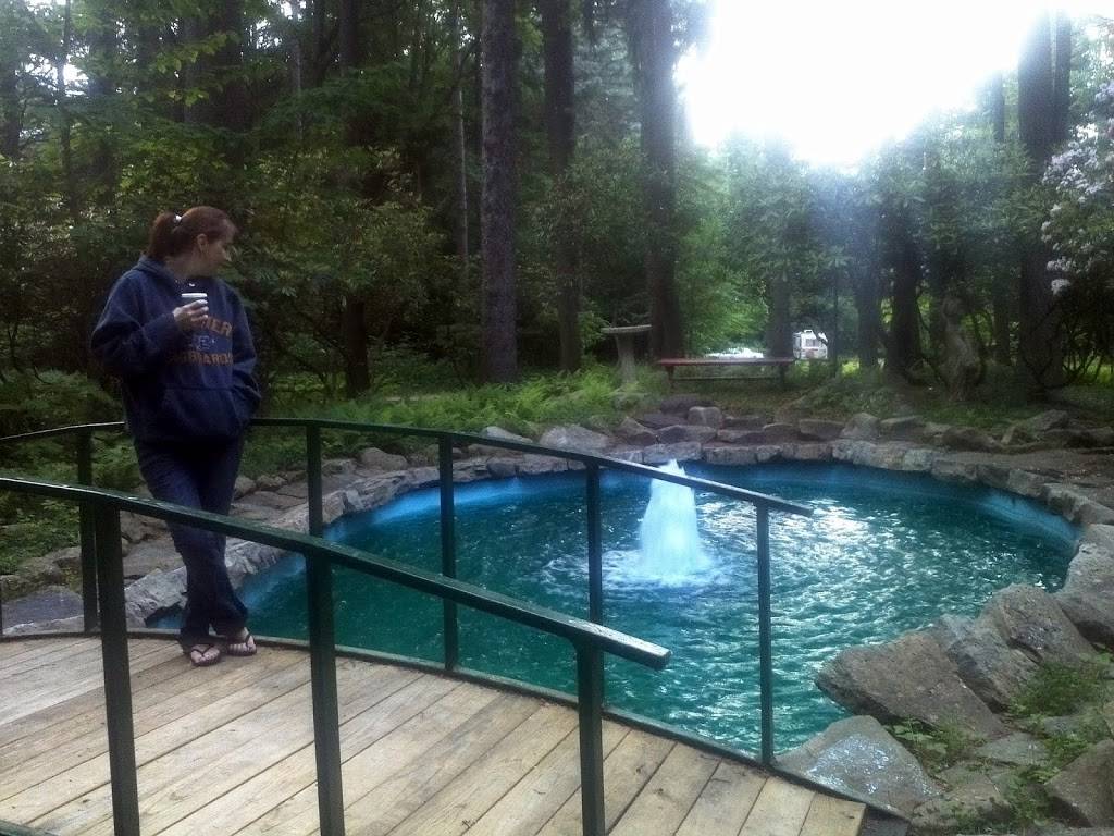 Hilltop Lodge & Restaurant | restaurant | 8015 Messer Hill Rd, Bolivar, NY 14715, USA | 5859281040 OR +1 585-928-1040