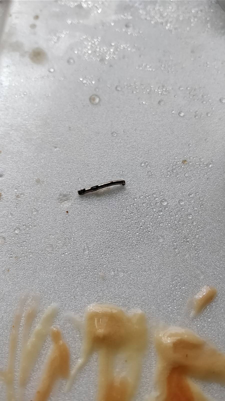 Wong | restaurant | 1217 1st Avenue, New York, NY 10065, USA | 2125177798 OR +1 212-517-7798