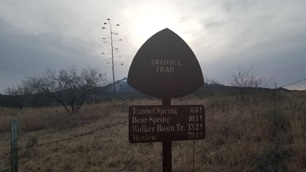 Los Betos | restaurant | 9495 E Golf Links Rd, Tucson, AZ 85730, USA | 5202969497 OR +1 520-296-9497